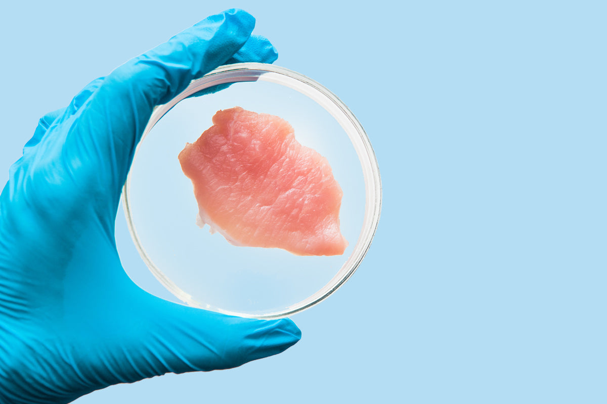 PETRI-DISH POULTRY: FDA GREENLIGHTS LAB GROWN CHICKEN
