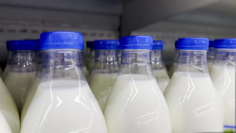 Lab-Grown Whole Cow Milk Can Now Be Sold In US Grocery Stores